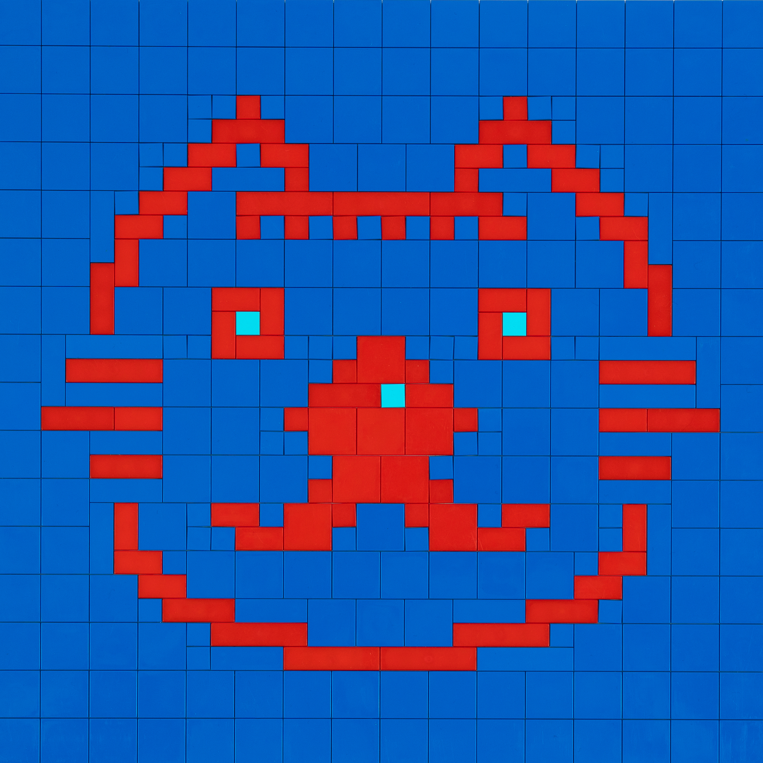 red cat on blue background