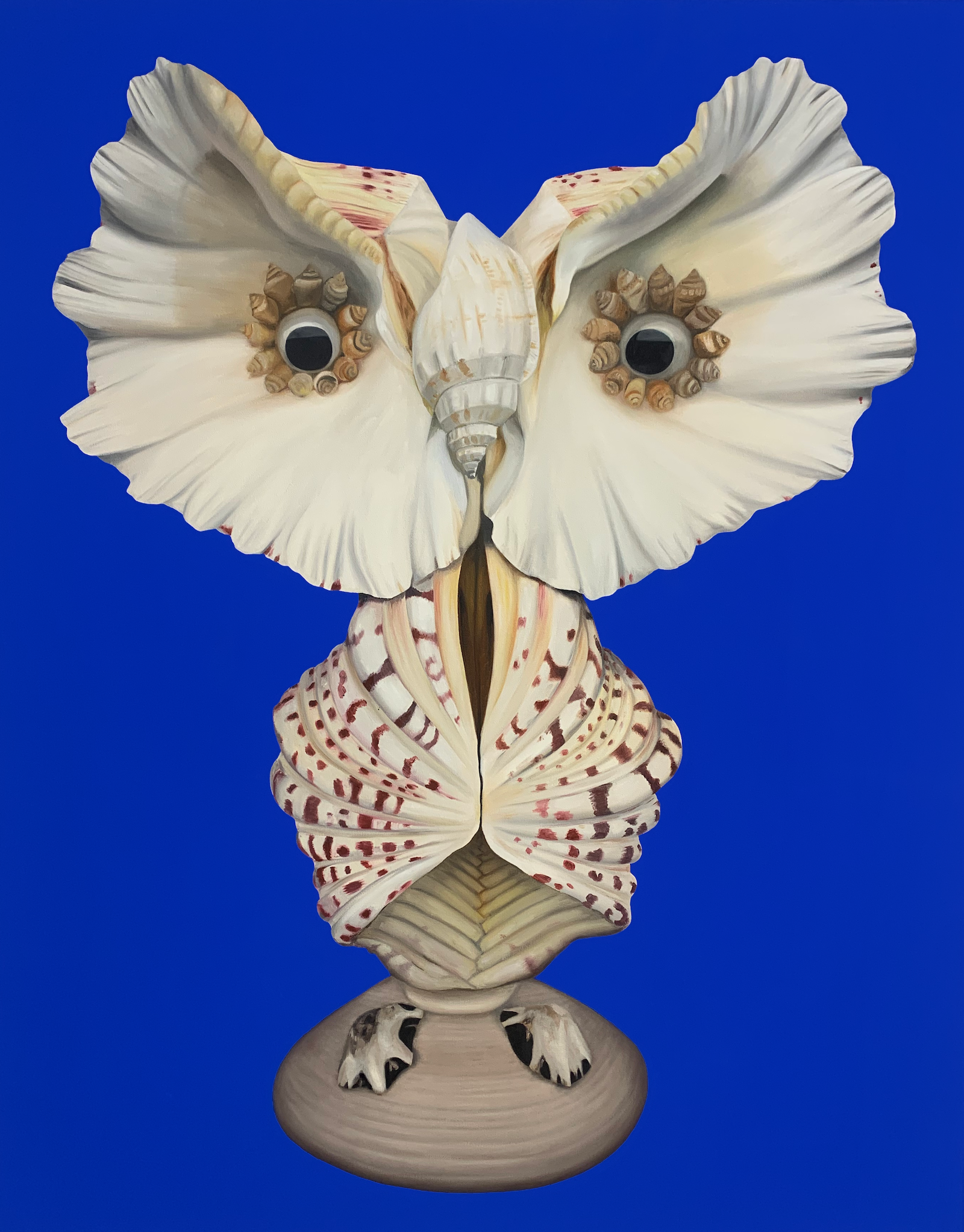 Seashell Owl